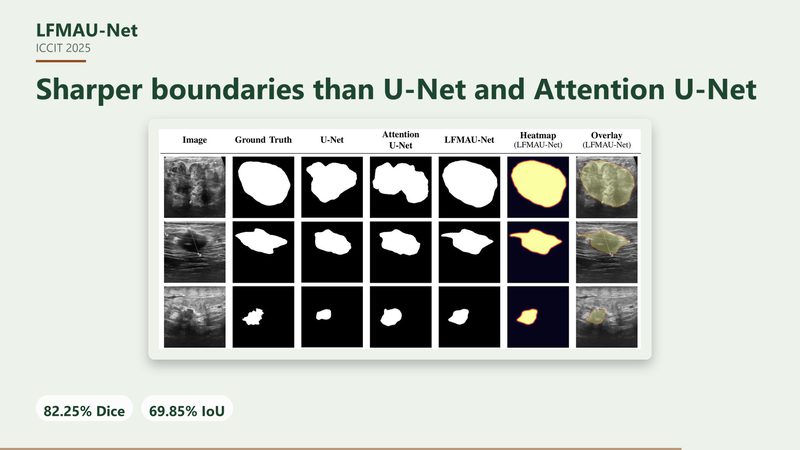LFMAU-Net segmentation results figure